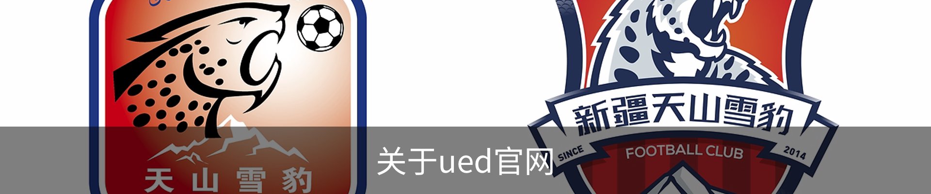 关于ued官网