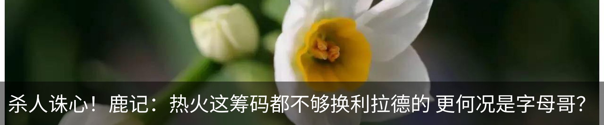 资讯动态